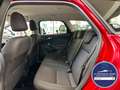 Ford Focus Turnier SYNC *NEU ZAHNRIEMEN+SERVICE* Rouge - thumbnail 11
