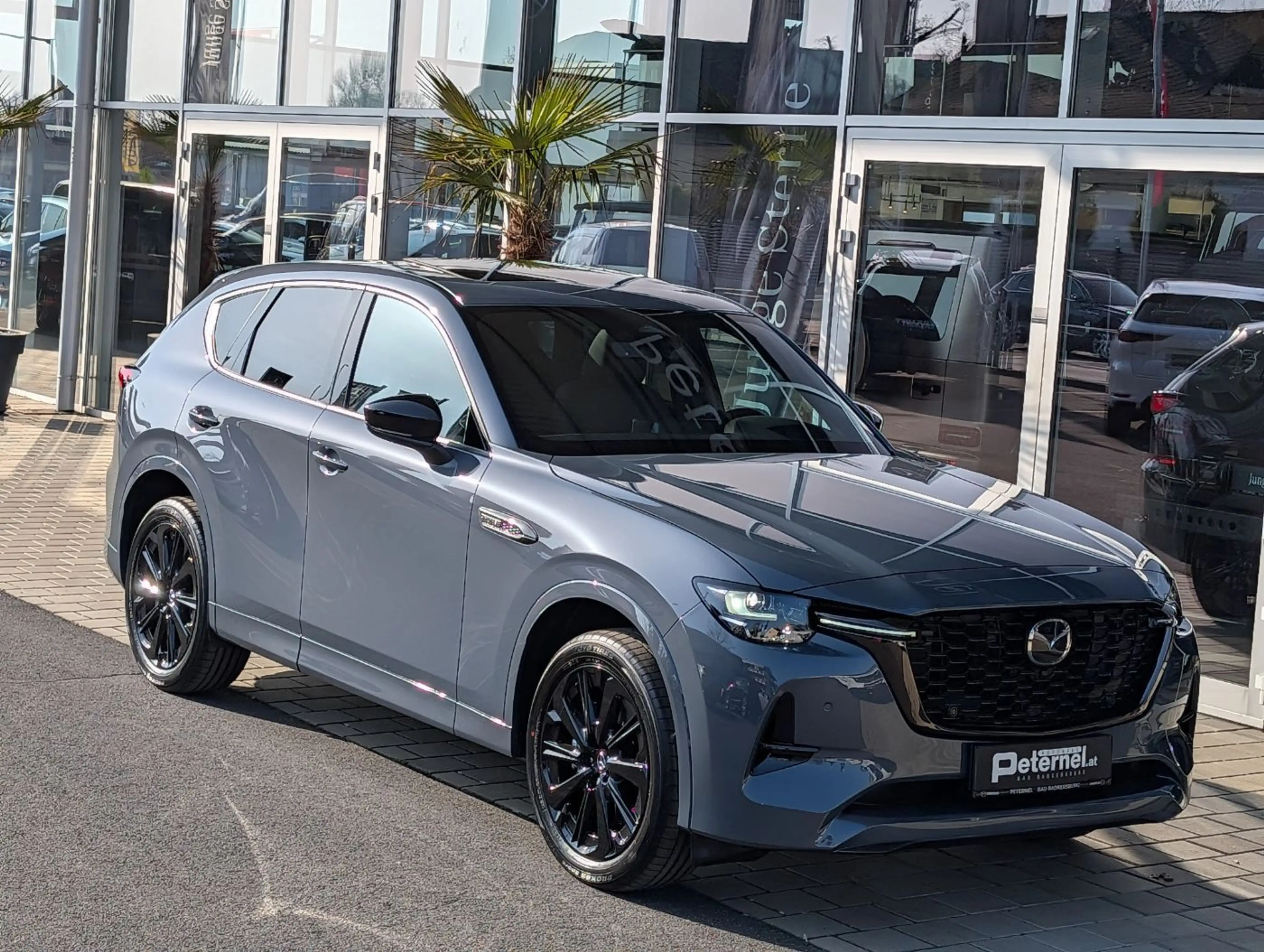 Mazda CX-60 3.3 D254 8AT AWD HOMURA PLUS Leder — photo 10