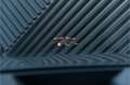 BMW X5 xDrive50e LCI M-Sport Pro ACC Pano M Seats Stoelve Gris - thumbnail 42