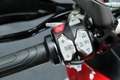 Ducati Multistrada 950 S Rot - thumbnail 20