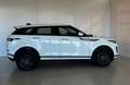 Land Rover Range Rover Evoque 2.0D I4 163 CV AWD Auto *IVA ESPOSTA* Bianco - thumbnail 6