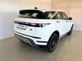 Land Rover Range Rover Evoque 2.0D I4 163 CV AWD Auto *IVA ESPOSTA* Bianco - thumbnail 2