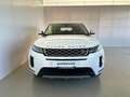 Land Rover Range Rover Evoque 2.0D I4 163 CV AWD Auto *IVA ESPOSTA* Bianco - thumbnail 8