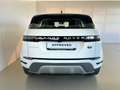 Land Rover Range Rover Evoque 2.0D I4 163 CV AWD Auto *IVA ESPOSTA* Bianco - thumbnail 7