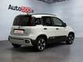 Fiat Panda 1.0 firefly hybrid s&s 70cv Weiß - thumbnail 6
