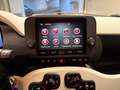 Fiat Panda 1.0 firefly hybrid s&s 70cv Weiß - thumbnail 12