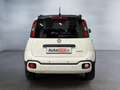 Fiat Panda 1.0 firefly hybrid s&s 70cv Weiß - thumbnail 4