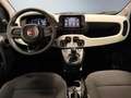 Fiat Panda 1.0 firefly hybrid s&s 70cv Weiß - thumbnail 15