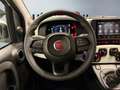 Fiat Panda 1.0 firefly hybrid s&s 70cv Weiß - thumbnail 10