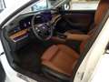 Skoda Superb Combi 1.5TSI DSG L&K P-DACH LEDER KAMERA Weiß - thumbnail 3