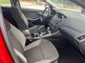 Ford Focus 1.6 Ecoboost Auto-Start-Stop 180cv Sport Burdeos - thumbnail 10