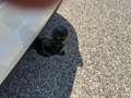 Volkswagen Touran Friends TDI DSG Grau - thumbnail 4