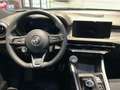 Alfa Romeo Tonale Tonale 1.6 diesel 130 CV TCT6 Sprint Verde - thumbnail 12