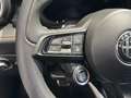 Alfa Romeo Tonale Tonale 1.6 diesel 130 CV TCT6 Sprint Verde - thumbnail 13