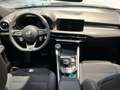 Alfa Romeo Tonale Tonale 1.6 diesel 130 CV TCT6 Sprint Verde - thumbnail 11