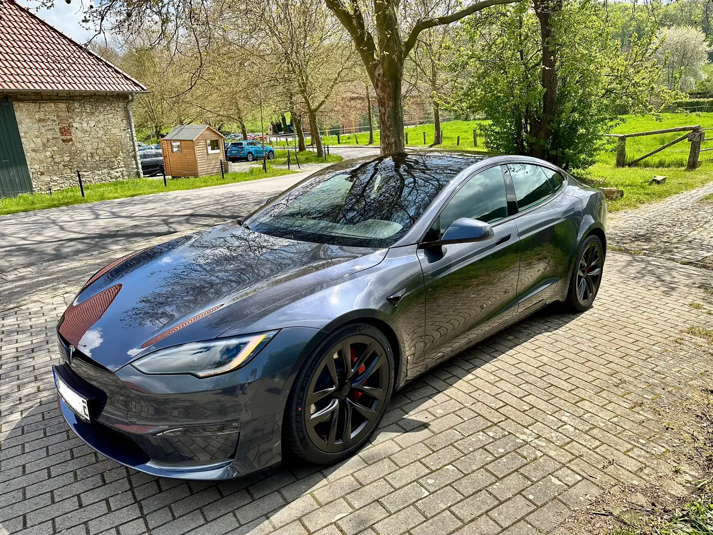 Tesla Model S PLAID Grau - 1