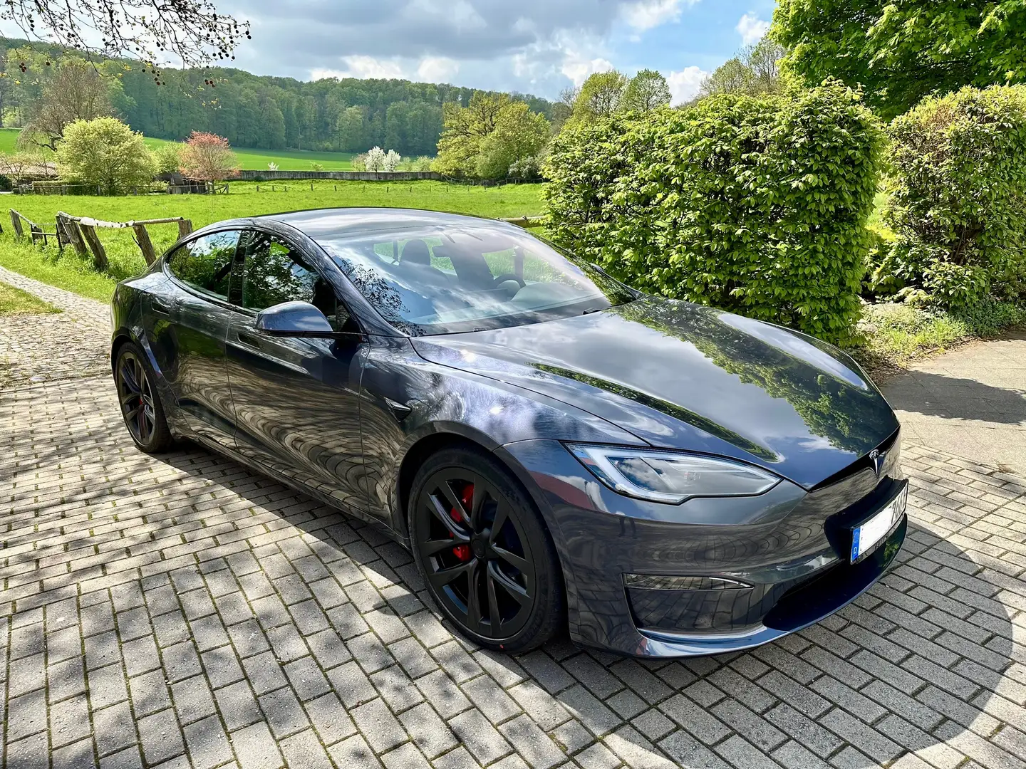 Tesla Model S PLAID Grau - 2
