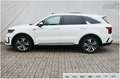 Kia Sorento 1.6 T-GDI Plug-In Hybrid 4WD Platinum Weiß - thumbnail 31