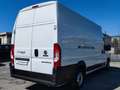 Fiat Ducato MAXI 35 XLH3 2.3 MJ P.LUNGO T.SUPERALTO 3 PTI-2020 Blanc - thumbnail 3