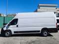 Fiat Ducato MAXI 35 XLH3 2.3 MJ P.LUNGO T.SUPERALTO 3 PTI-2020 Blanc - thumbnail 6