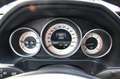 Mercedes-Benz E 250 E250 BlueTEC Edition E 4Matic LED/360°/Teilleder Grijs - thumbnail 17