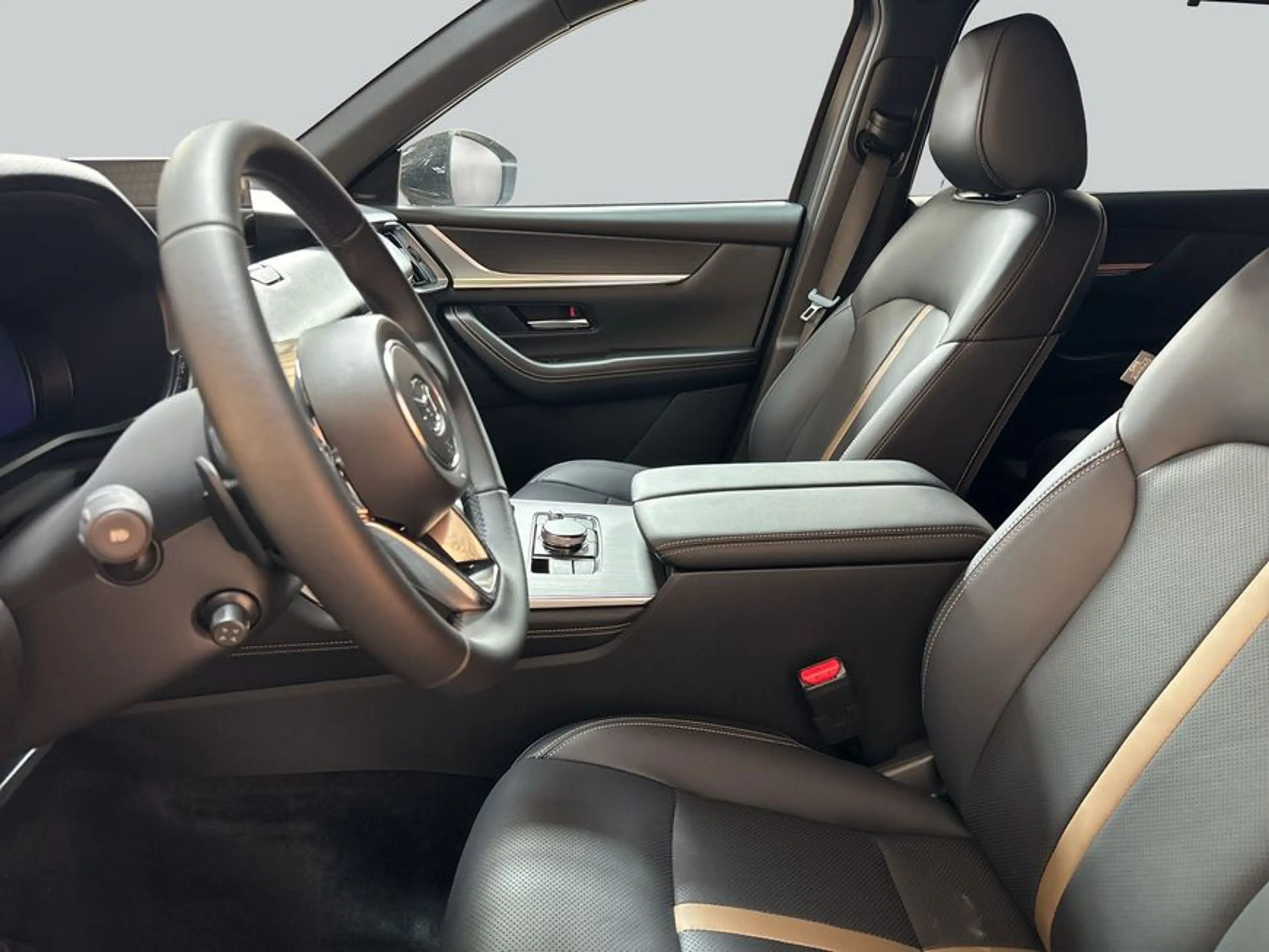 Mazda CX-80 e-SKYACTIV-D 254 M HYBRID AWD HOMURA PLUS 18 — photo 10