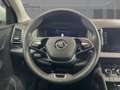 Skoda Karoq AMBITION TDI DSG 115 Weiß - thumbnail 9