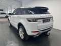 Land Rover Range Rover Evoque 2.2 Sd4 +KEYLESS+KAMERA+AHK+ Bílá - thumbnail 6