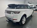 Land Rover Range Rover Evoque 2.2 Sd4 +KEYLESS+KAMERA+AHK+ Bílá - thumbnail 4