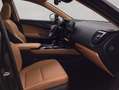 Lexus NX350h 4x4 Luxury Line + Panorama Modell2026 Noir - thumbnail 11