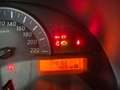 Nissan Micra Micra IV 2010 5p 1.2 Tekna Blau - thumbnail 13
