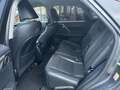 Lexus RX 450h 3.5 Executive 263CV CVT Grigio - thumbnail 9