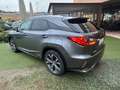 Lexus RX 450h 3.5 Executive 263CV CVT Grigio - thumbnail 3