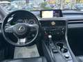 Lexus RX 450h 3.5 Executive 263CV CVT Grigio - thumbnail 11