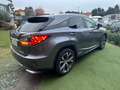 Lexus RX 450h 3.5 Executive 263CV CVT Grigio - thumbnail 4