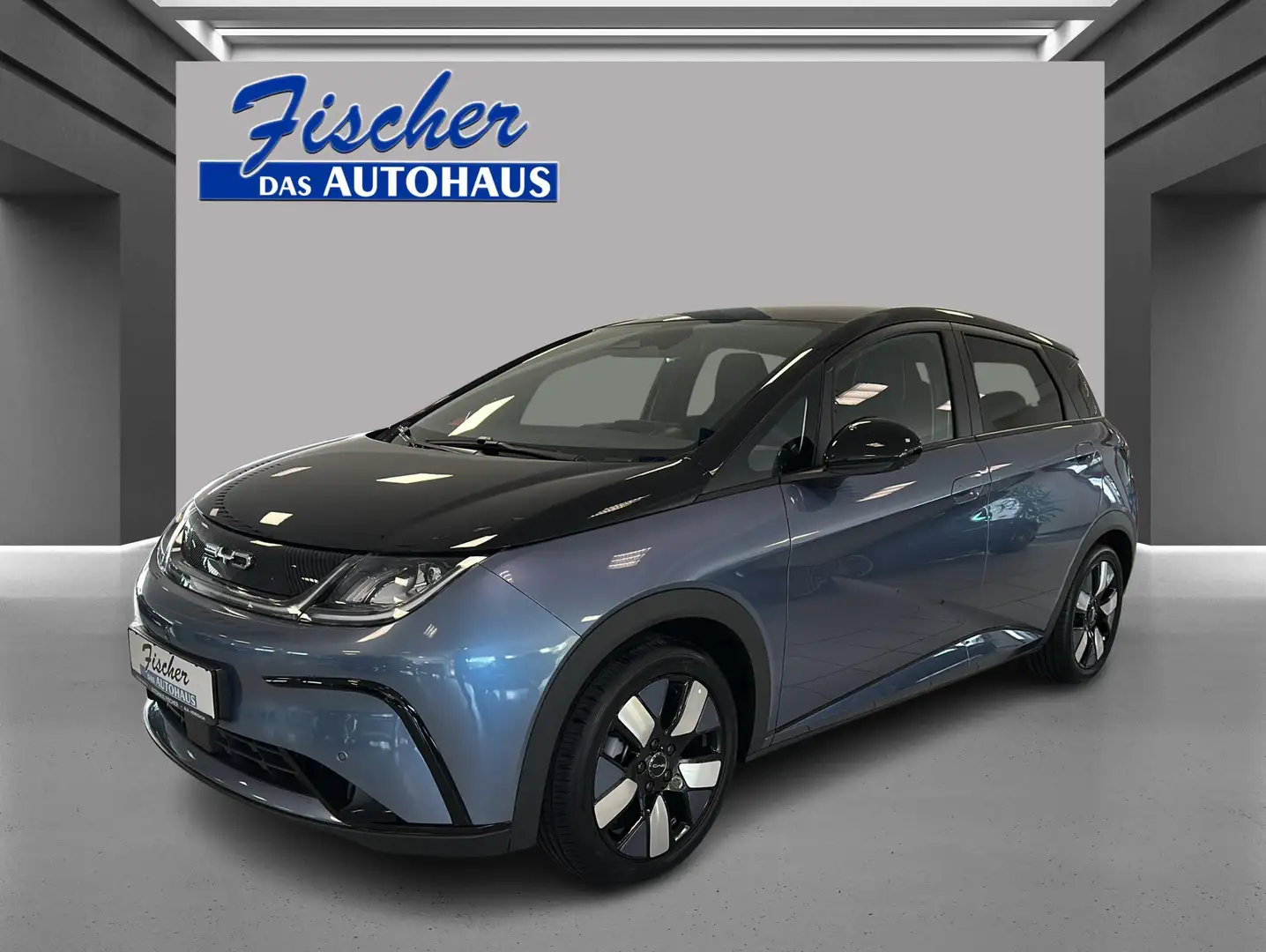 BYD Dolphin Design - 1