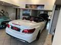 Mercedes-Benz E 220 E 220 CDI Cabrio Premium Bianco - thumbnail 13