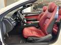Mercedes-Benz E 220 E 220 CDI Cabrio Premium Bianco - thumbnail 8