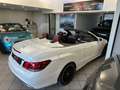 Mercedes-Benz E 220 E 220 CDI Cabrio Premium Bianco - thumbnail 12