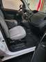 Renault Kangoo MAXI DCI : 4.895+tva  ** Plusieurs en Stock ** Blanc - thumbnail 6
