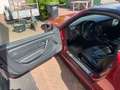 Mercedes-Benz SLK 230 SLK 230 R170 compressor Rouge - thumbnail 16