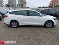 Ford Focus 1.5 EcoBlue 120 CV SW Business Bianco - thumbnail 3