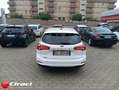 Ford Focus 1.5 EcoBlue 120 CV SW Business Bianco - thumbnail 5