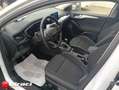 Ford Focus 1.5 EcoBlue 120 CV SW Business Bianco - thumbnail 10