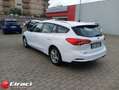 Ford Focus 1.5 EcoBlue 120 CV SW Business Bianco - thumbnail 6
