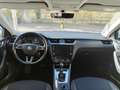 Skoda Octavia Octavia III Wagon 1.5 g-tec Executive 130cv dsg Bianco - thumbnail 12