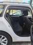 Skoda Octavia Octavia III Wagon 1.5 g-tec Executive 130cv dsg Bianco - thumbnail 9