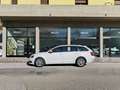 Skoda Octavia Octavia III Wagon 1.5 g-tec Executive 130cv dsg Bianco - thumbnail 2