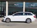Skoda Octavia Octavia III Wagon 1.5 g-tec Executive 130cv dsg Bianco - thumbnail 3