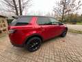 Land Rover Discovery Sport Discovery Sport 2.0 TD4  Limited Rosso - thumbnail 1